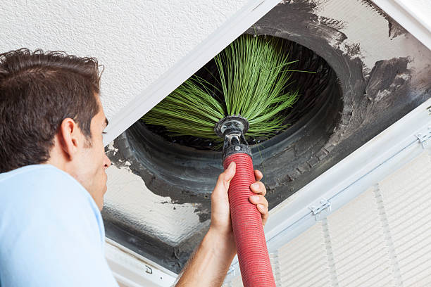 Air Duct Mold Removal in Verona, VA